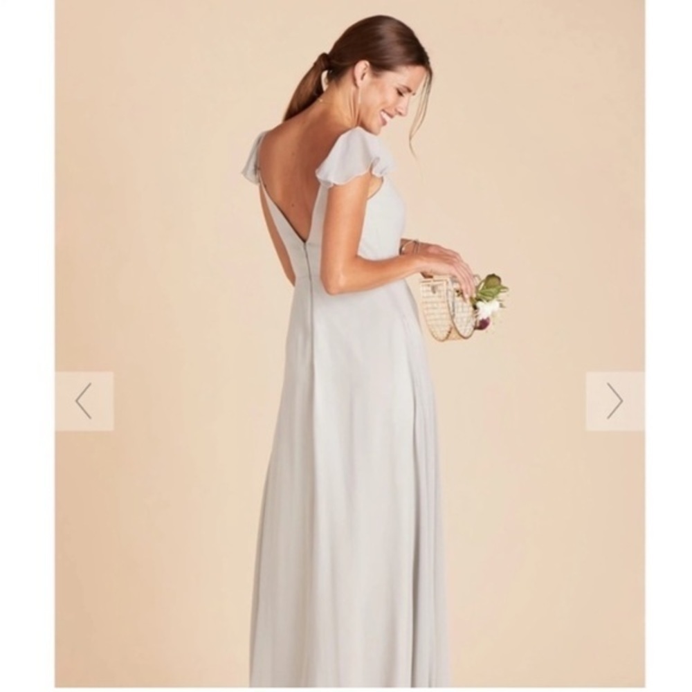 NWT Birdy Grey Kae Chiffon Dress in Silver - Picture 10 of 11